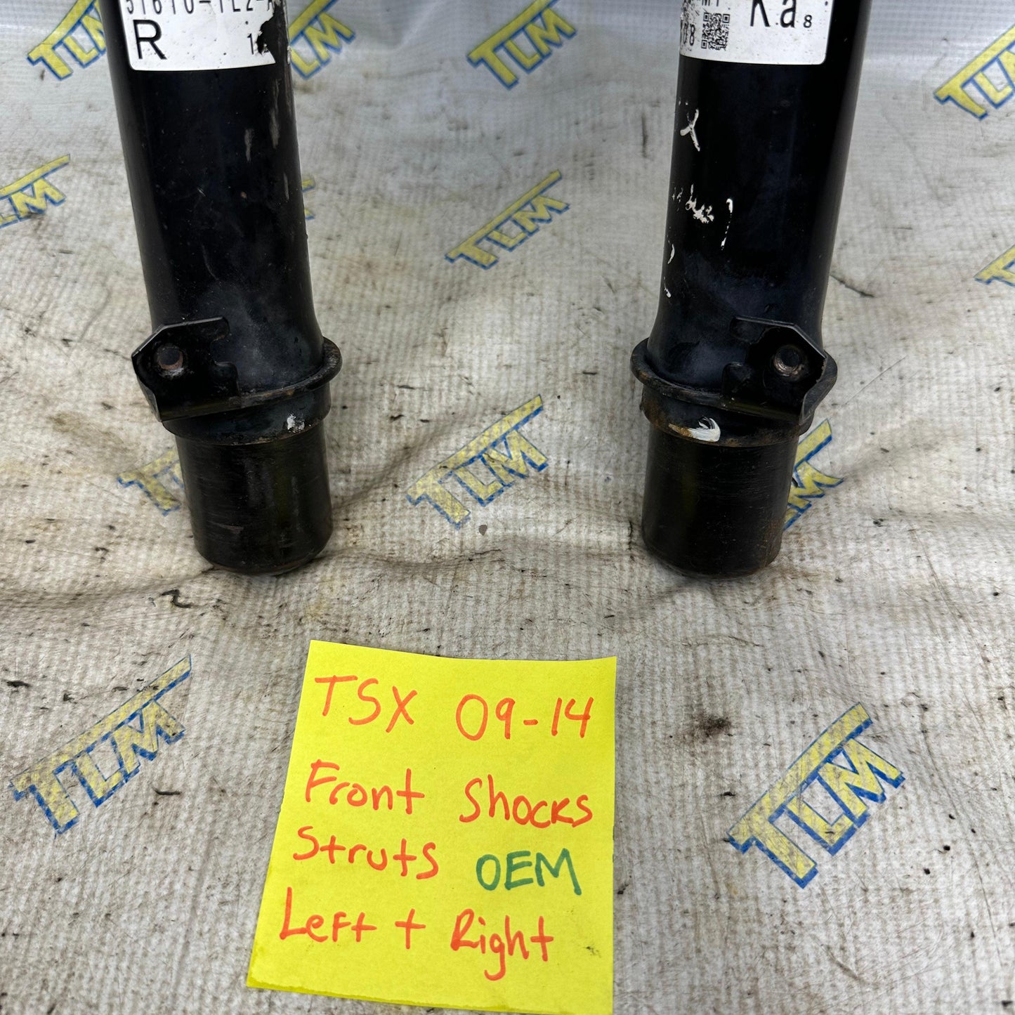 09-14 Acura TSX FRONT Shock Strut Suspension Coil LEFT & RIGHT 10 11 12 13 OEM
